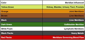 IonCleanse Foot Detox McElwee Natural Health and Healing in Churchville Md.